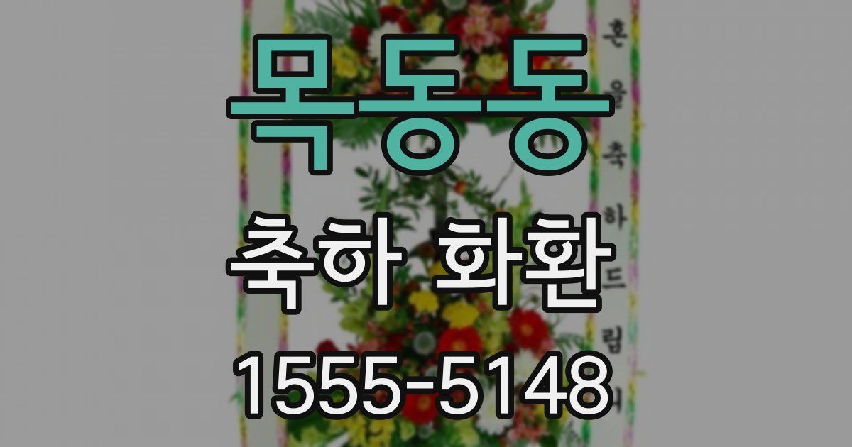 목동동 축하 화환