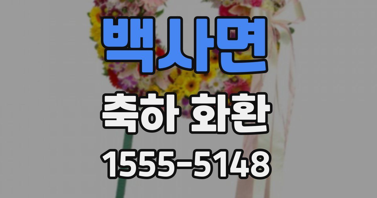 백사면 축하 화환