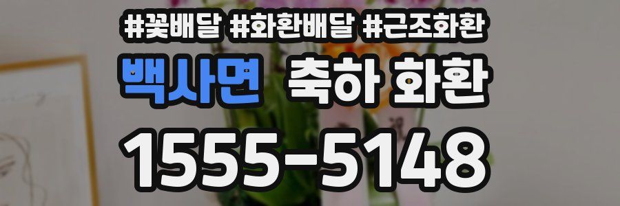 백사면 축하 화환