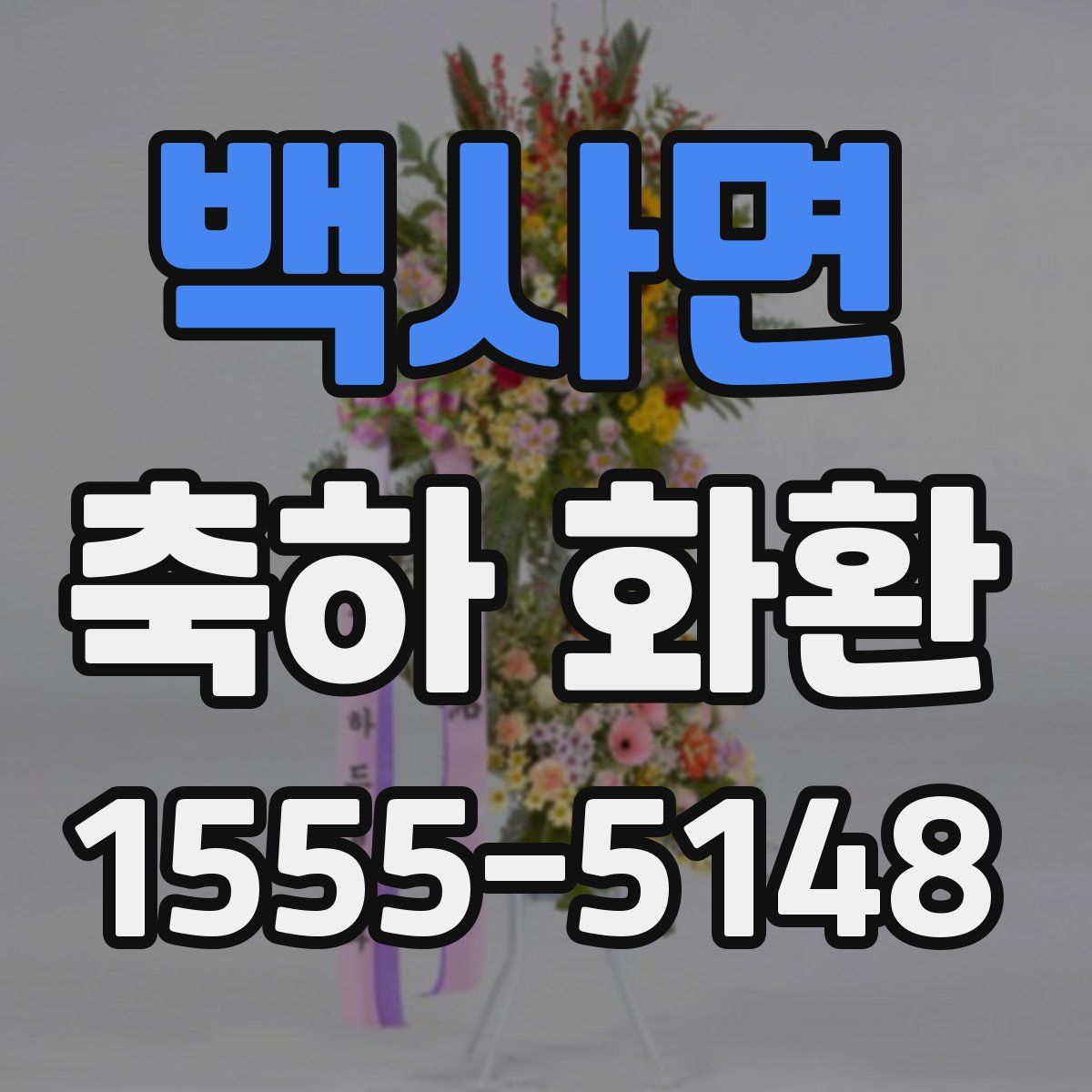 백사면 축하 화환