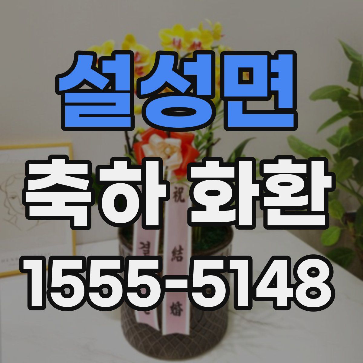 설성면 축하 화환