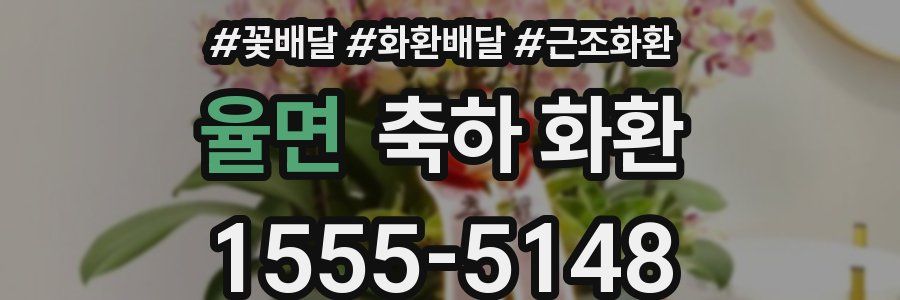 율면 축하 화환