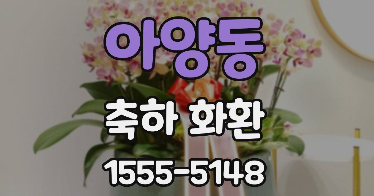 아양동 축하 화환