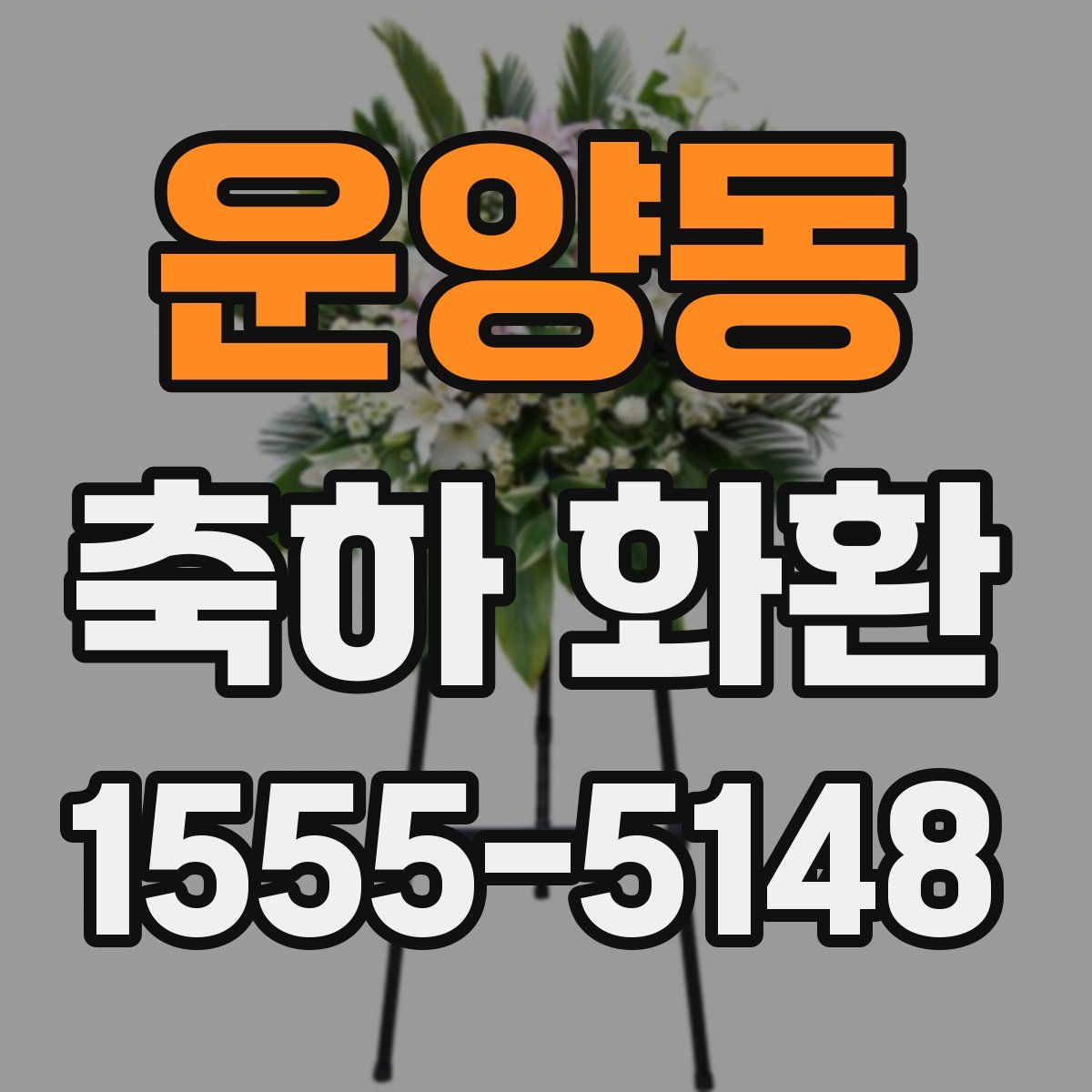 운양동 축하 화환