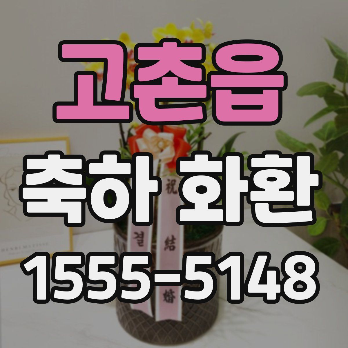 고촌읍 축하 화환