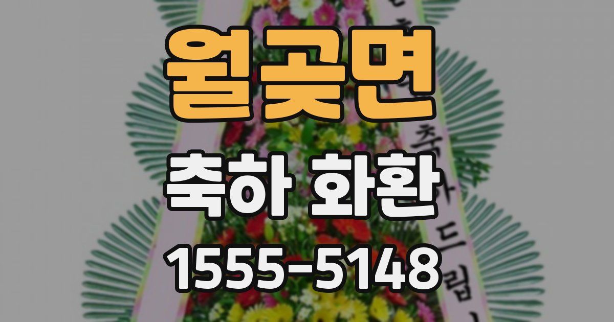 월곶면 축하 화환