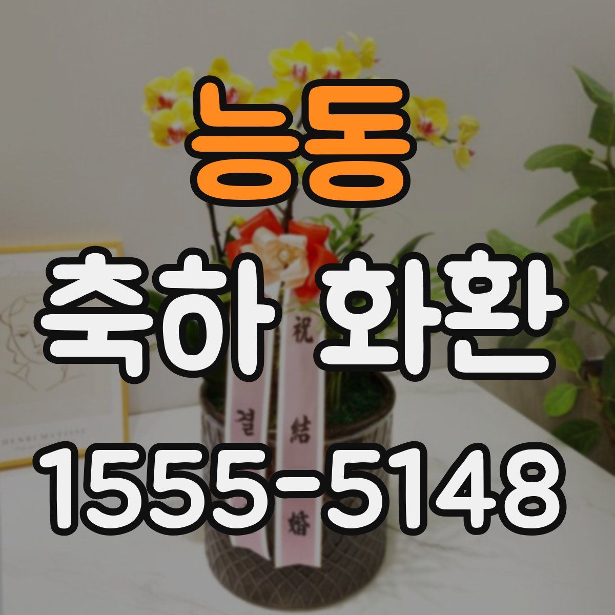 능동 축하 화환