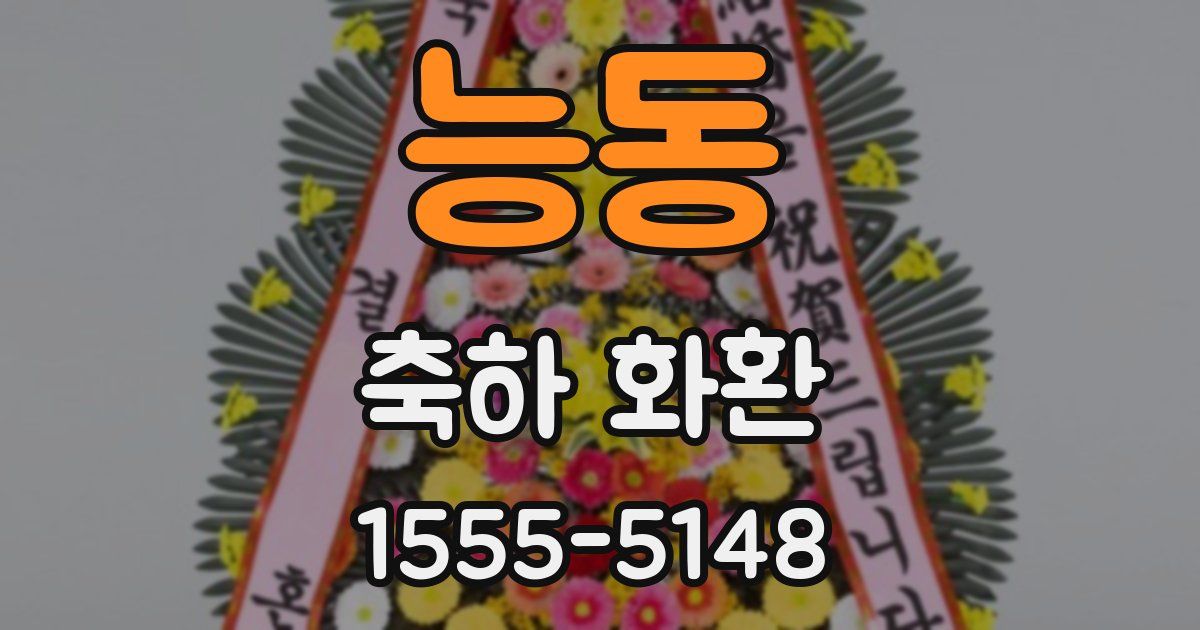 능동 축하 화환