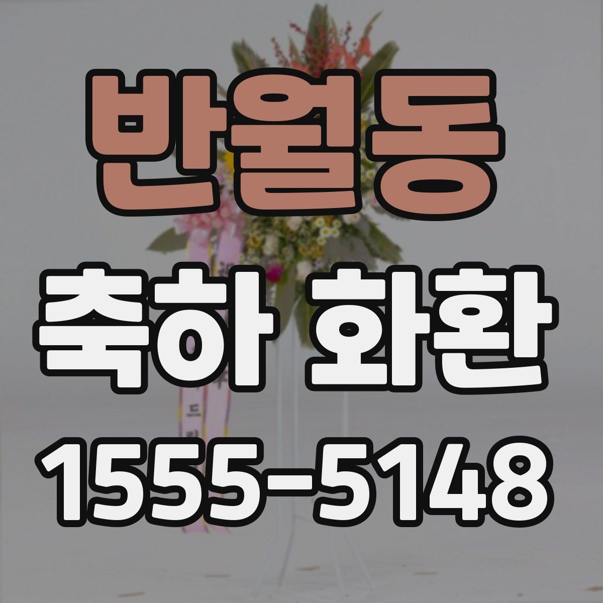 반월동 축하 화환