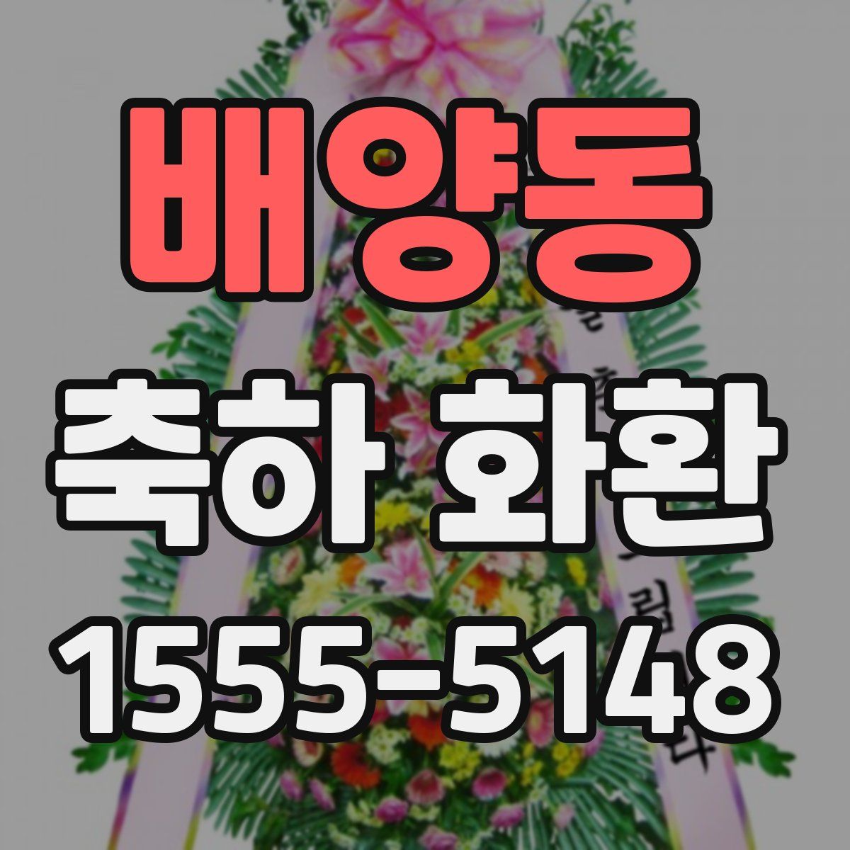 배양동 축하 화환