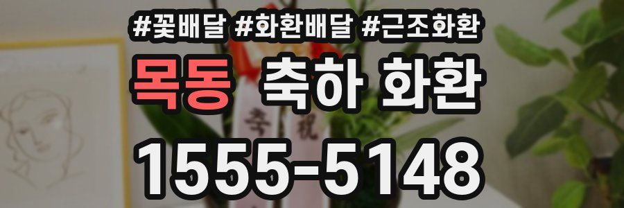 목동 축하 화환