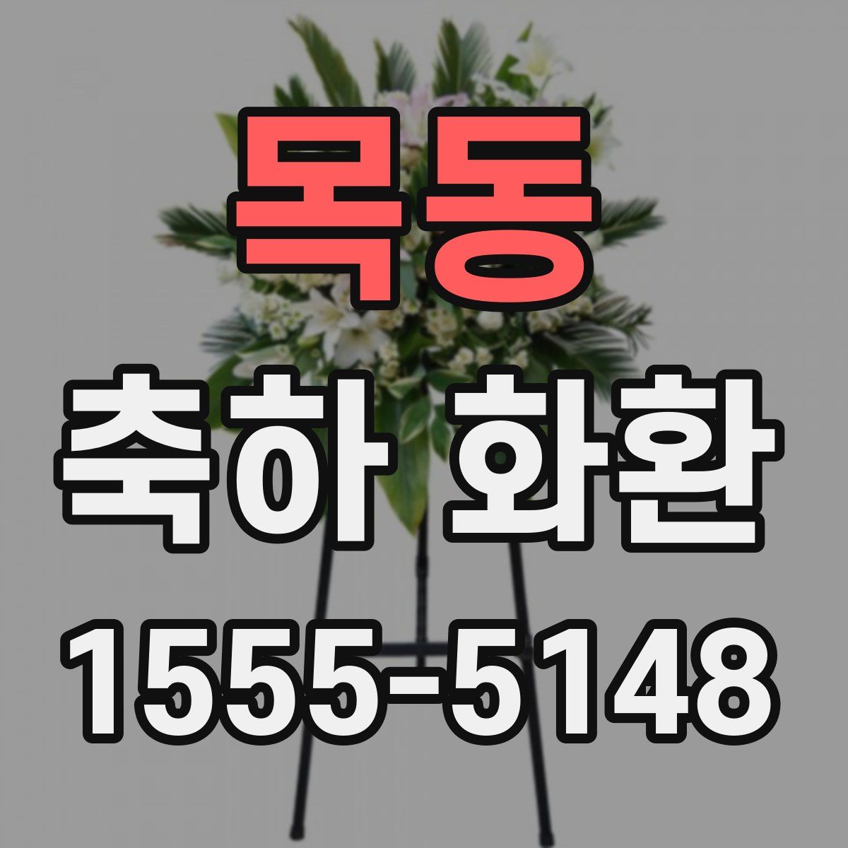 목동 축하 화환