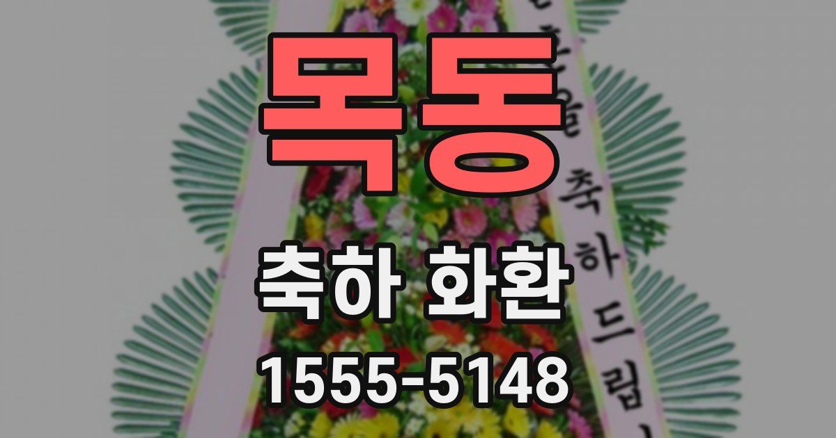 목동 축하 화환