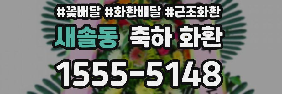 새솔동 축하 화환