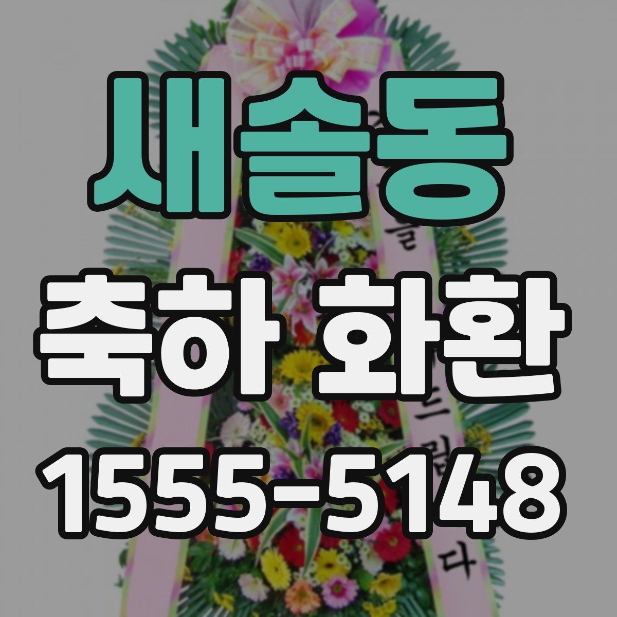 새솔동 축하 화환