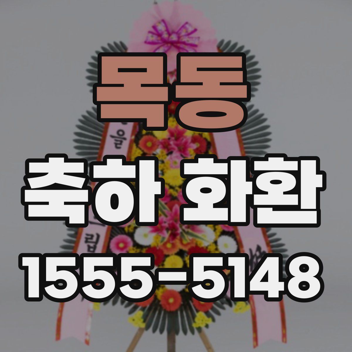 목동 축하 화환