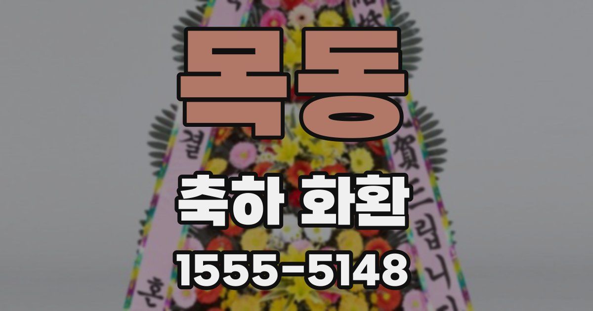 목동 축하 화환