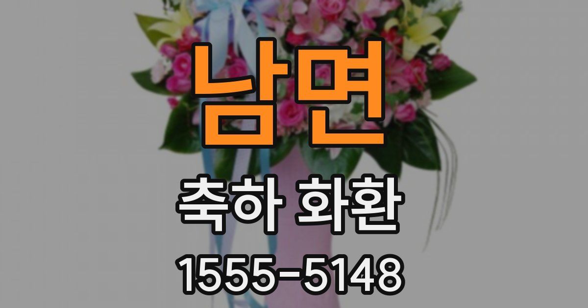남면 축하 화환