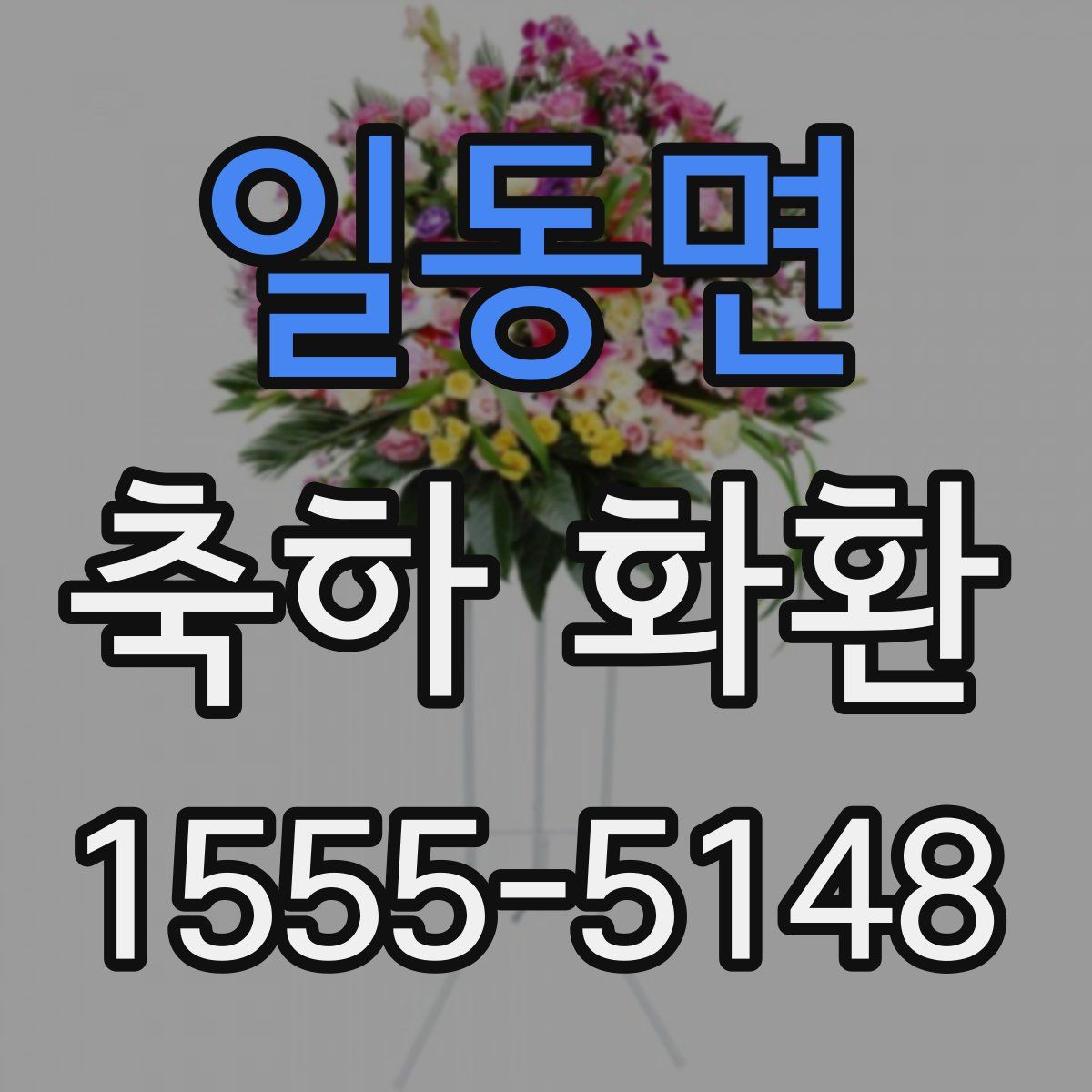 일동면 축하 화환