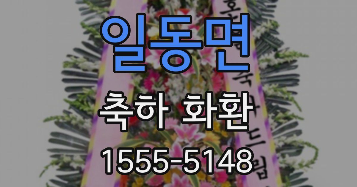 일동면 축하 화환