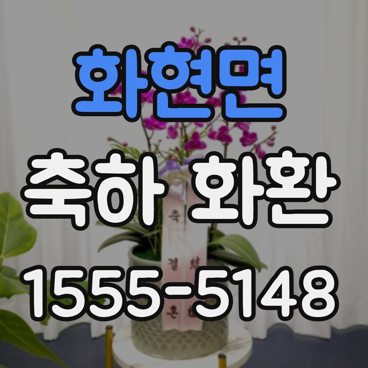 화현면 축하 화환