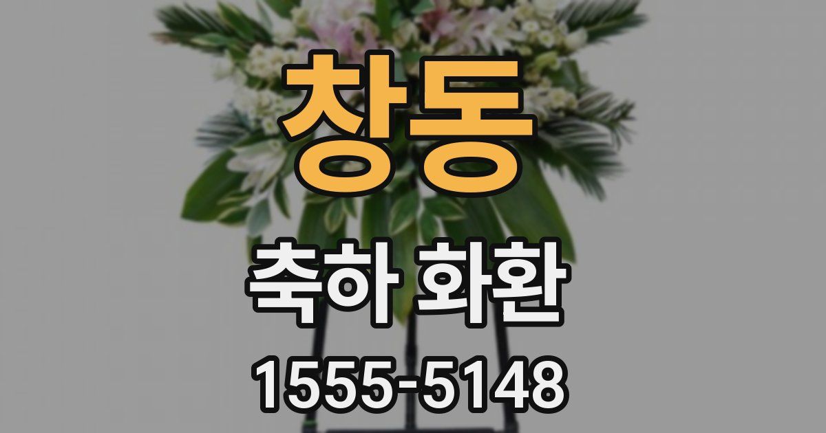 창동 축하 화환