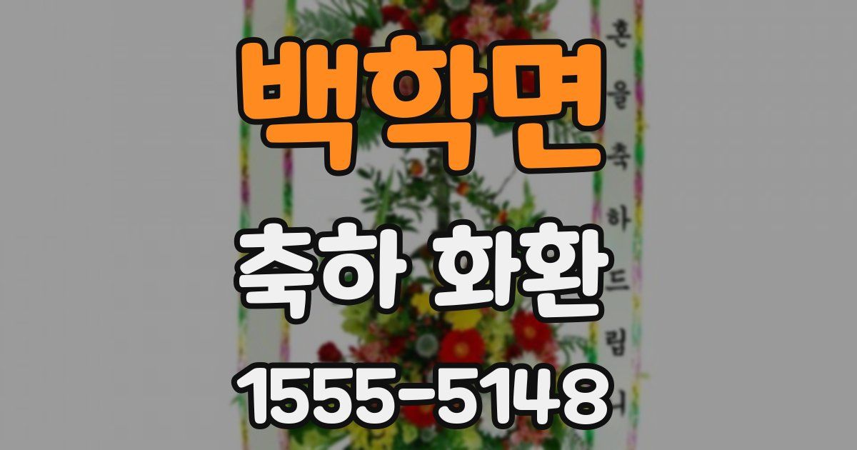 백학면 축하 화환