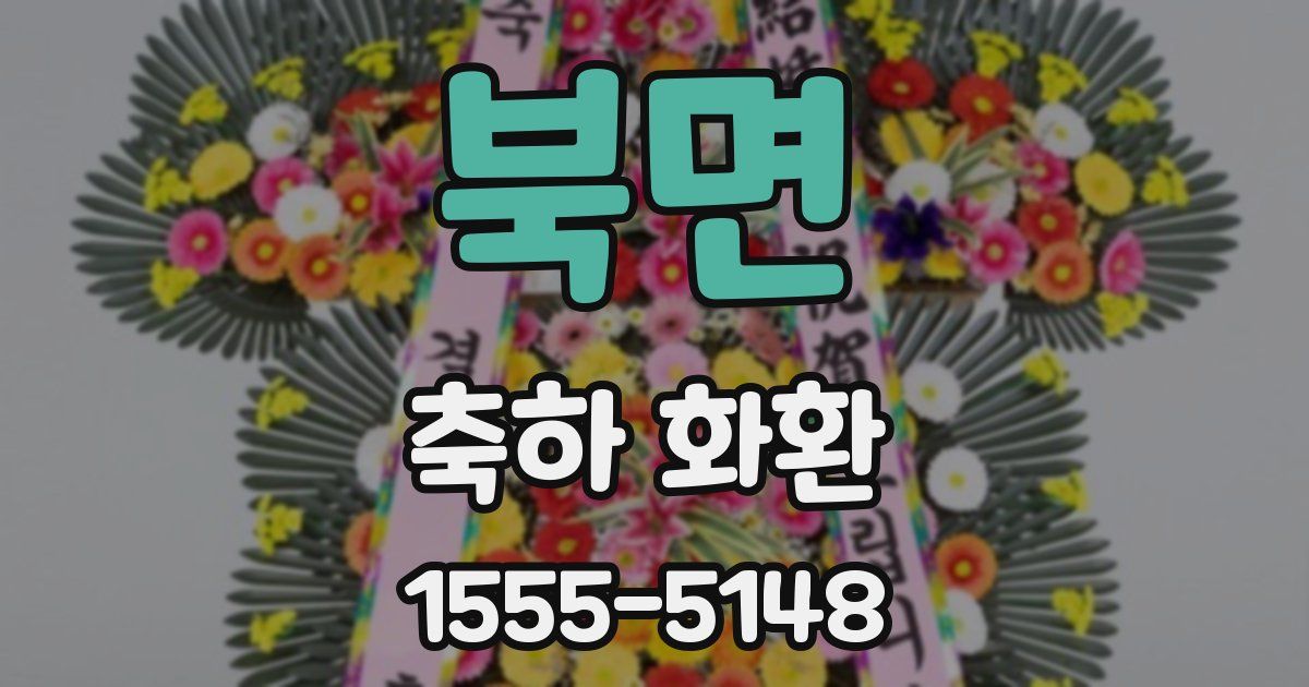 북면 축하 화환