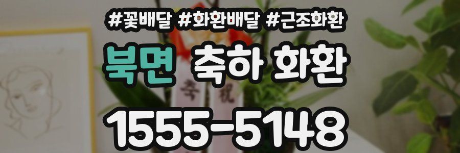북면 축하 화환