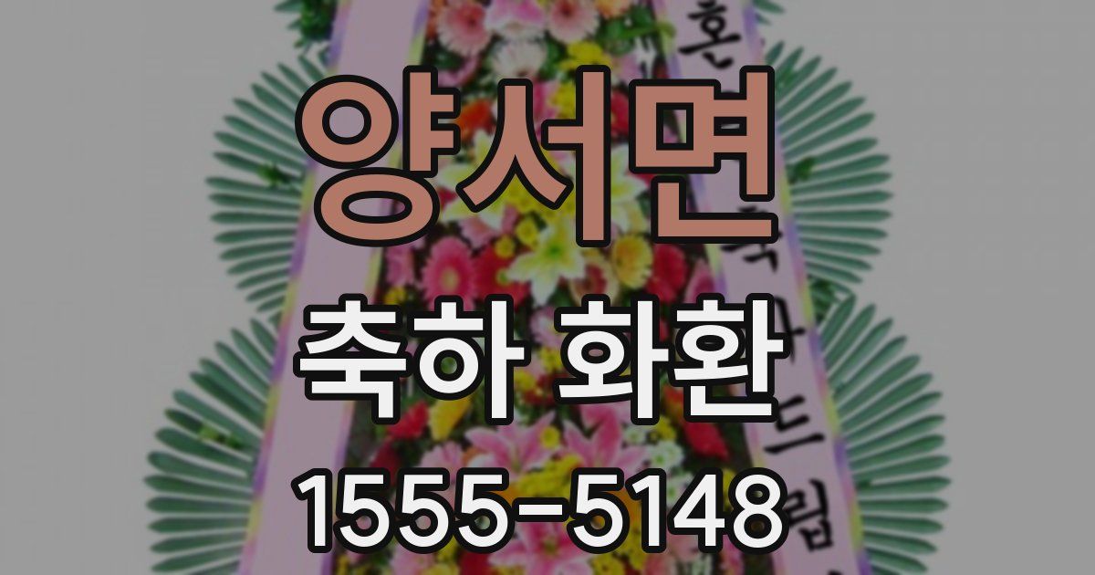 양서면 축하 화환