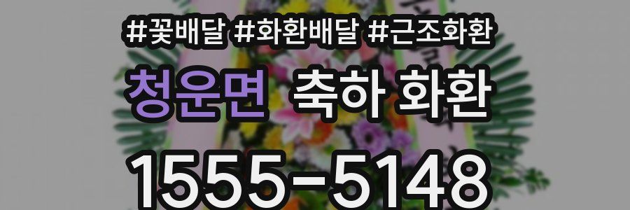 청운면 축하 화환