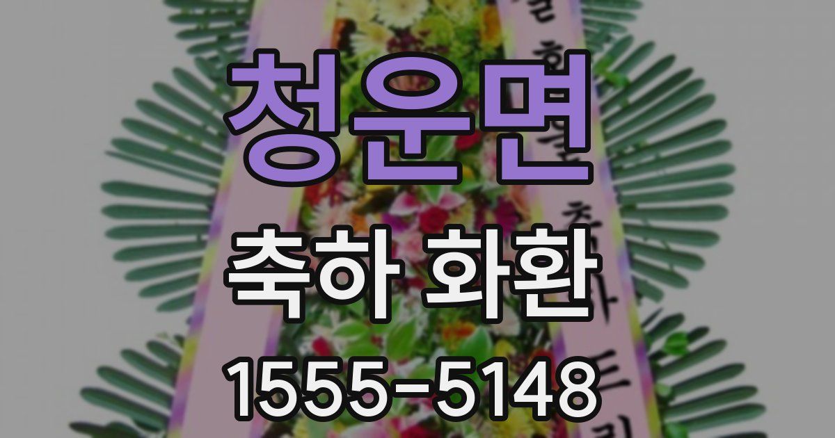 청운면 축하 화환