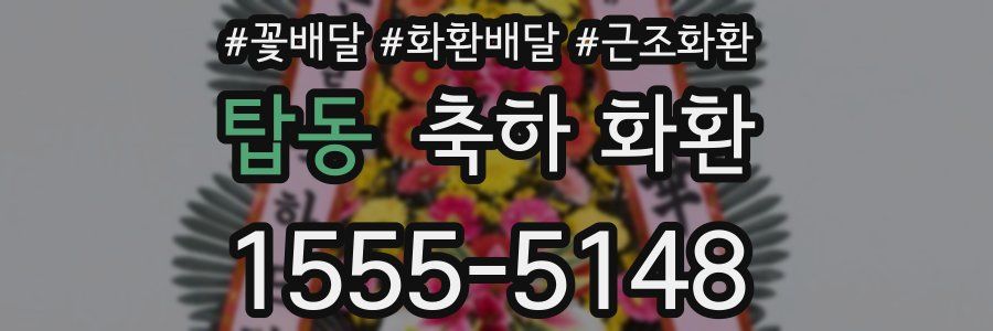 탑동 축하 화환