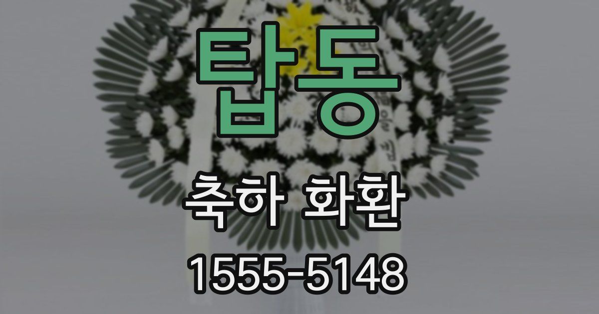 탑동 축하 화환