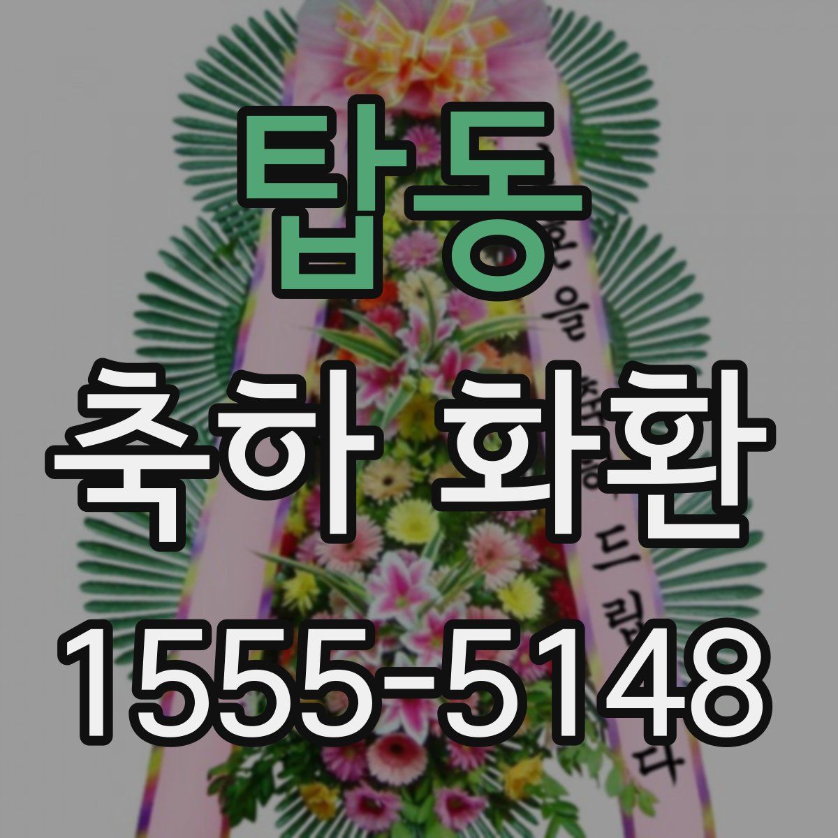 탑동 축하 화환