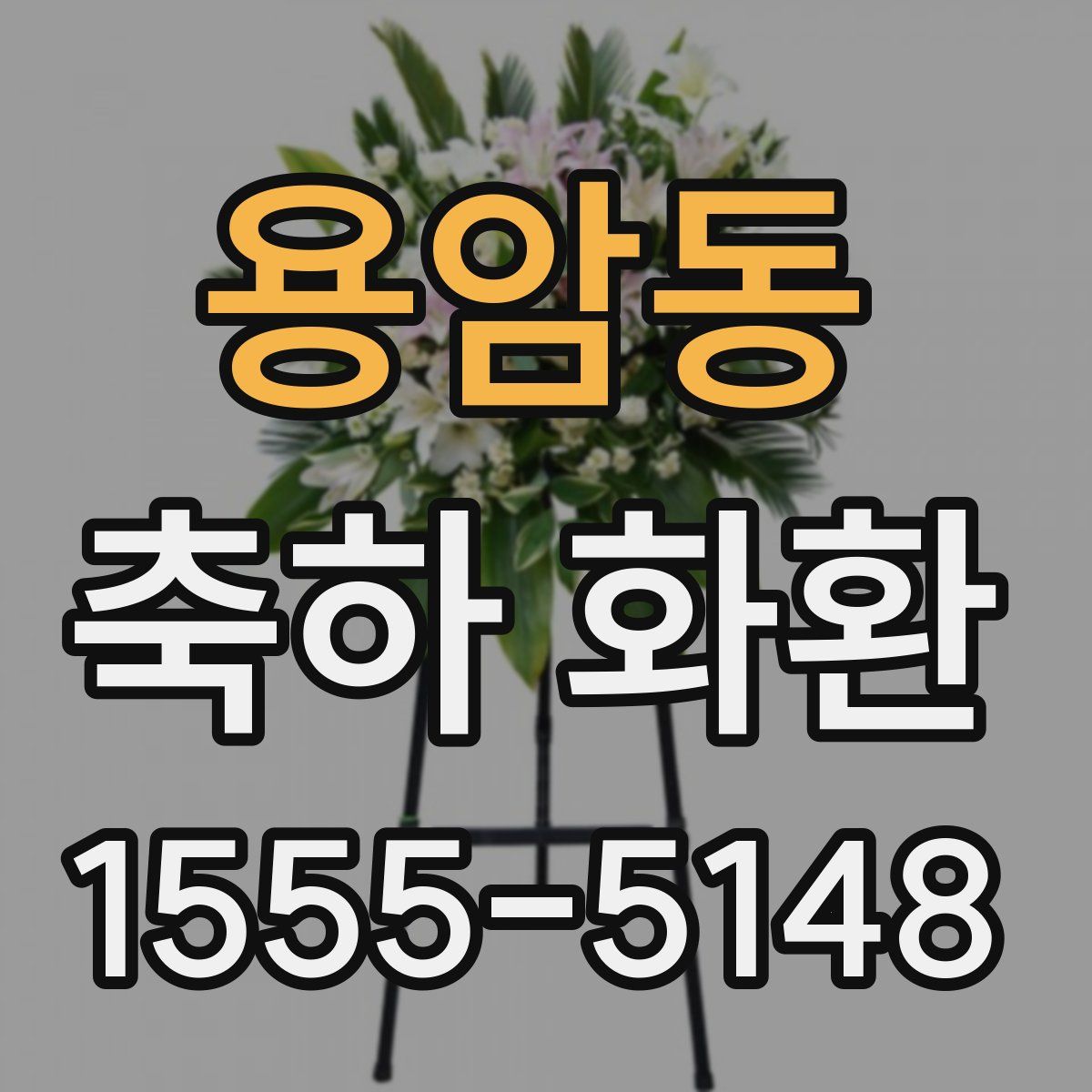 용암동 축하 화환