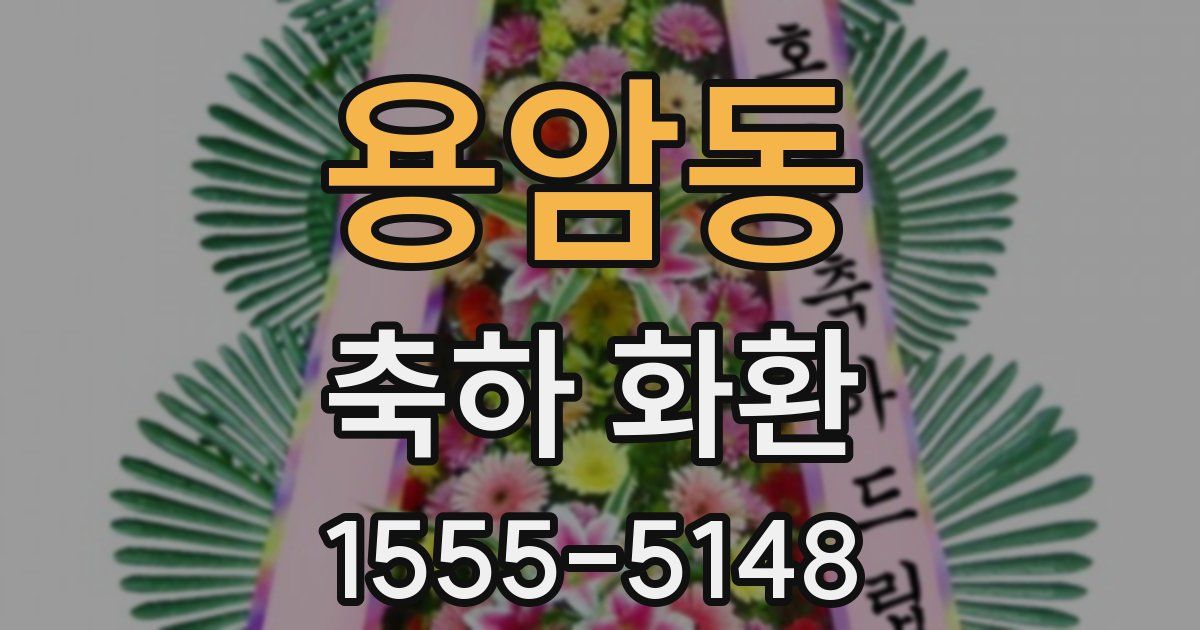 용암동 축하 화환