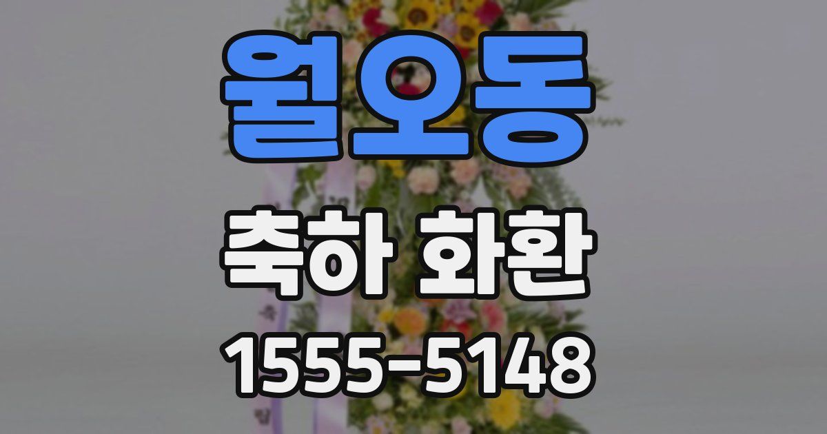 월오동 축하 화환