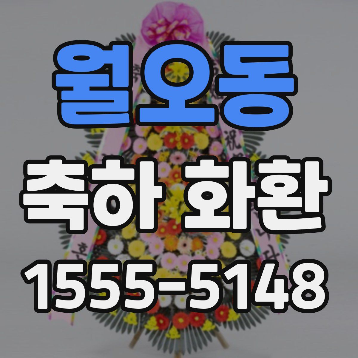 월오동 축하 화환