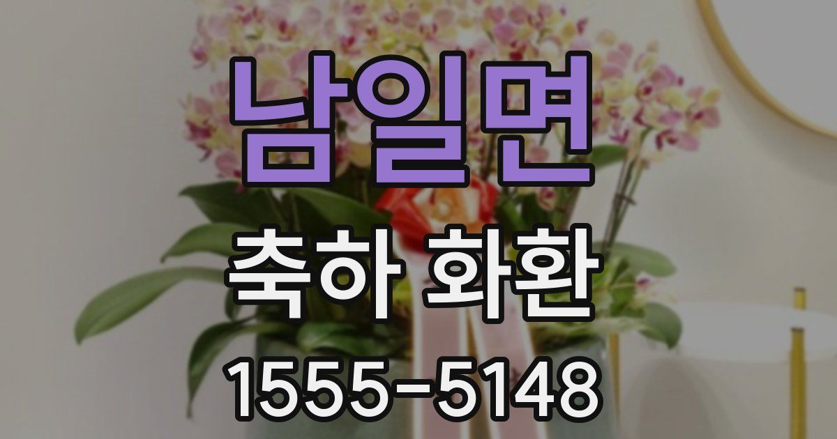 남일면 축하 화환