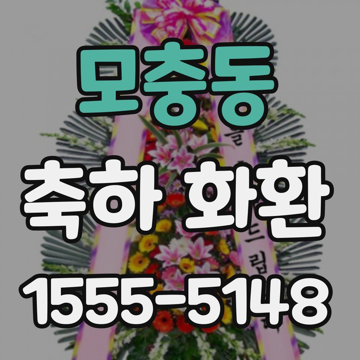 모충동 축하 화환