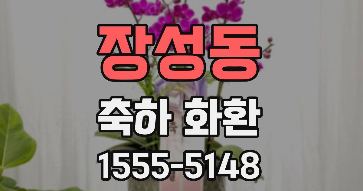 장성동 축하 화환