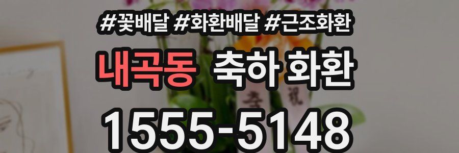 내곡동 축하 화환