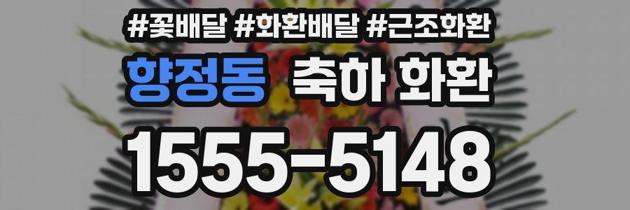 향정동 축하 화환