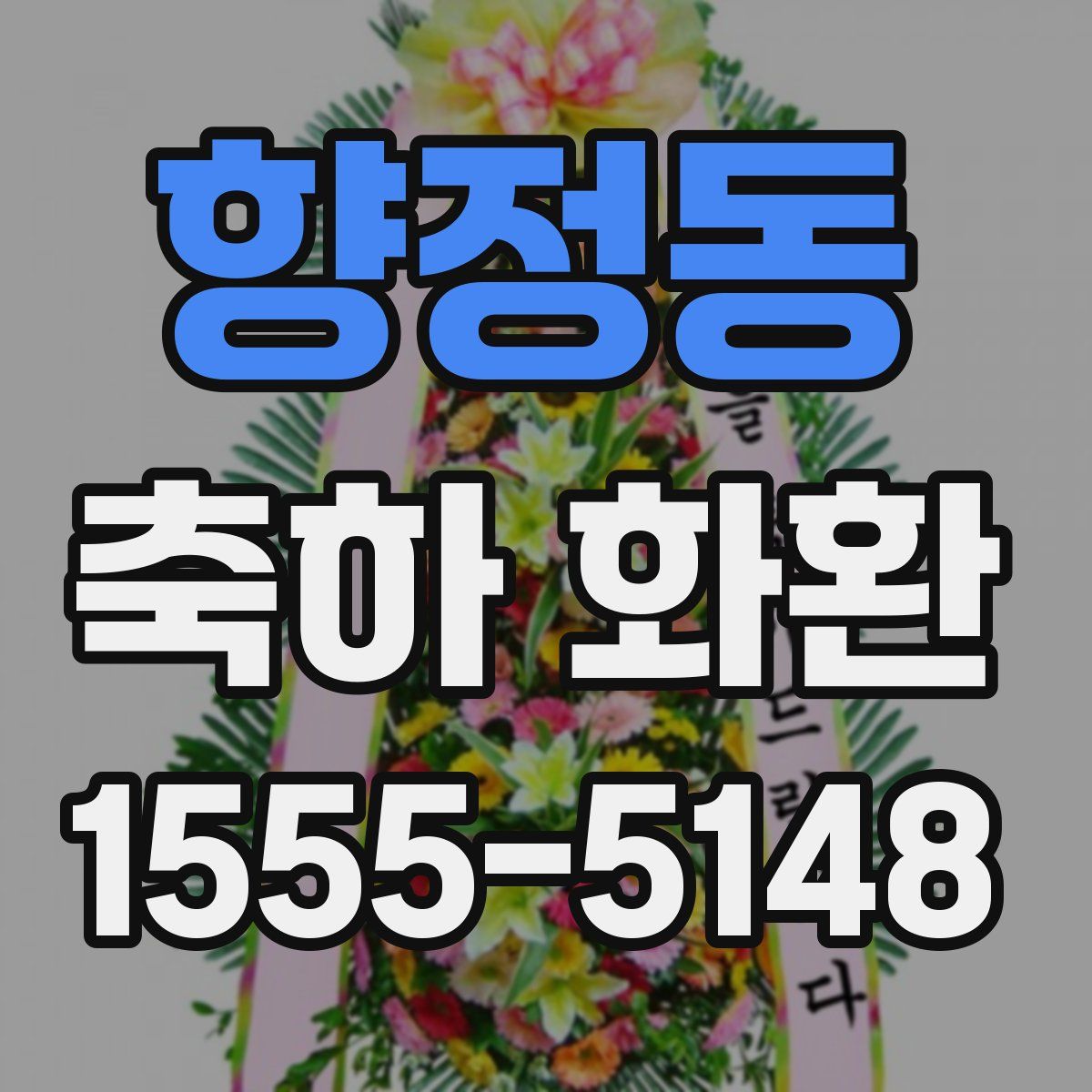 향정동 축하 화환