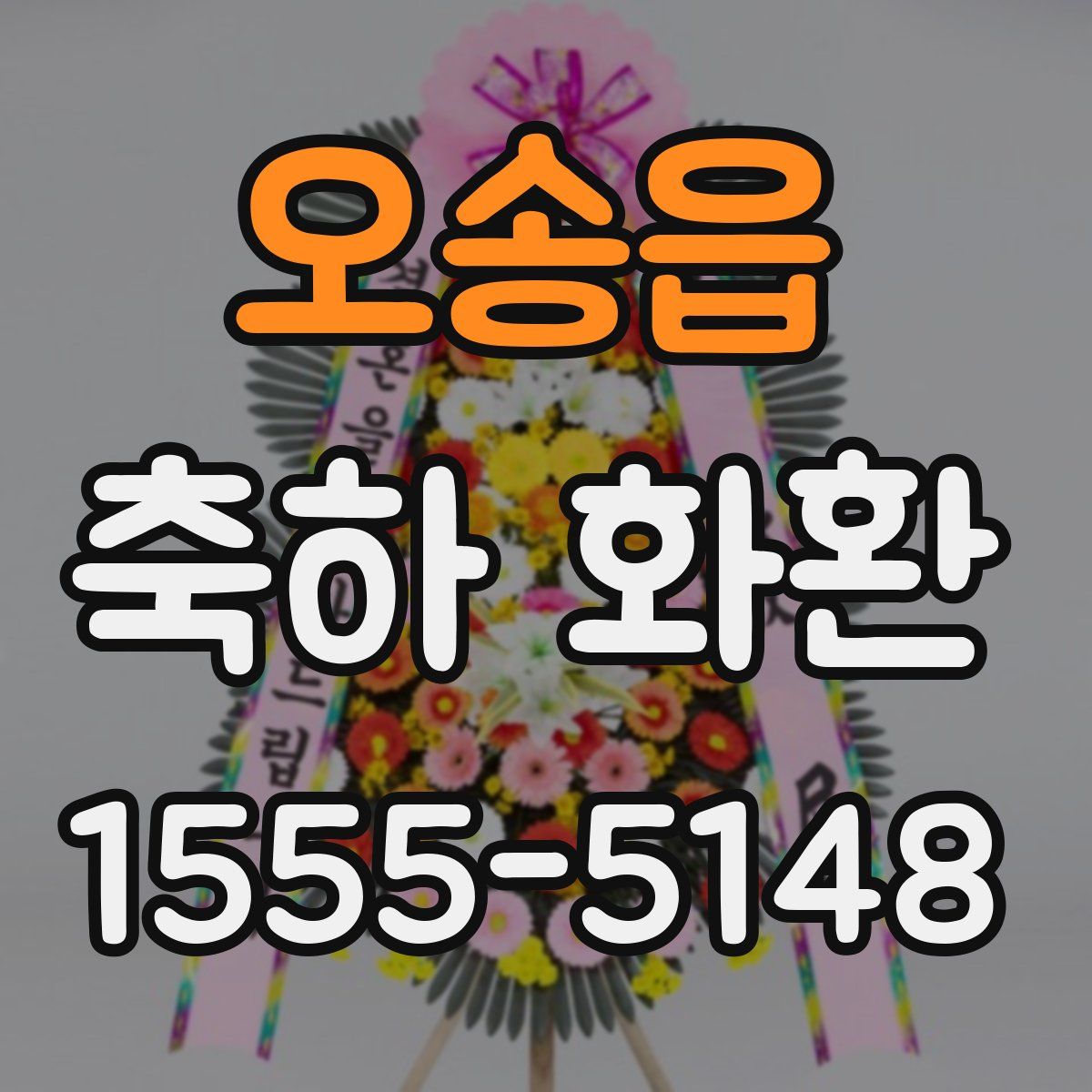 오송읍 축하 화환