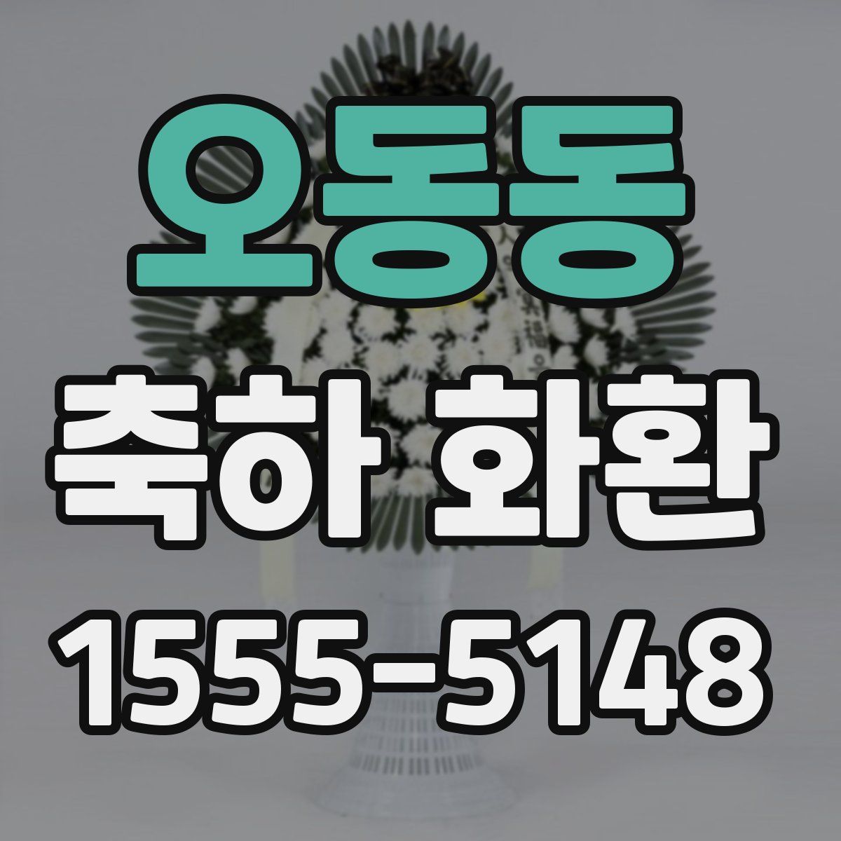 오동동 축하 화환