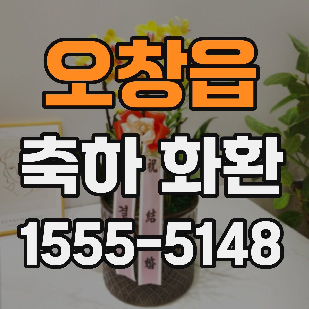 오창읍 축하 화환