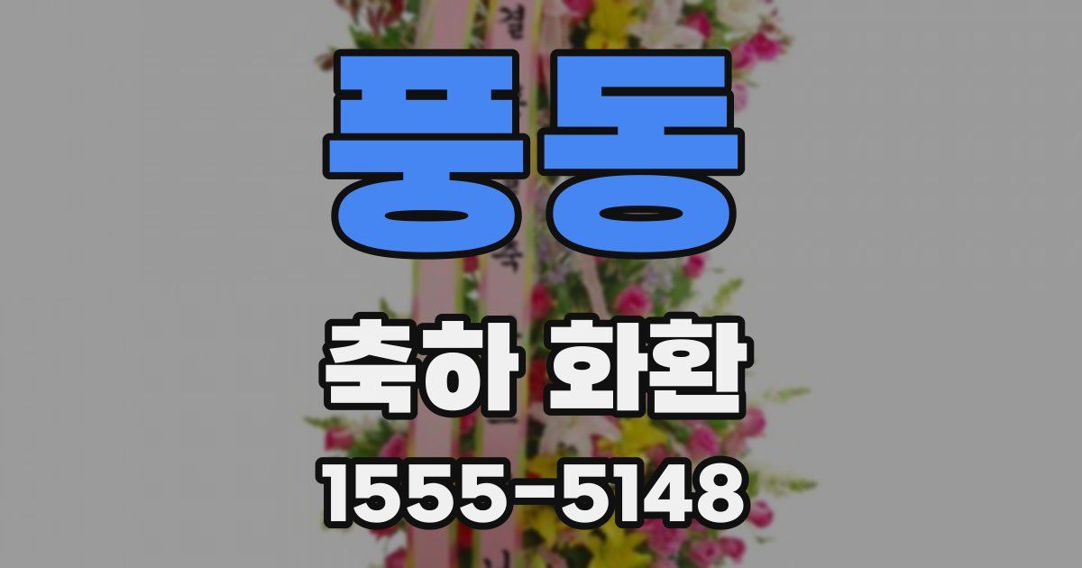 풍동 축하 화환