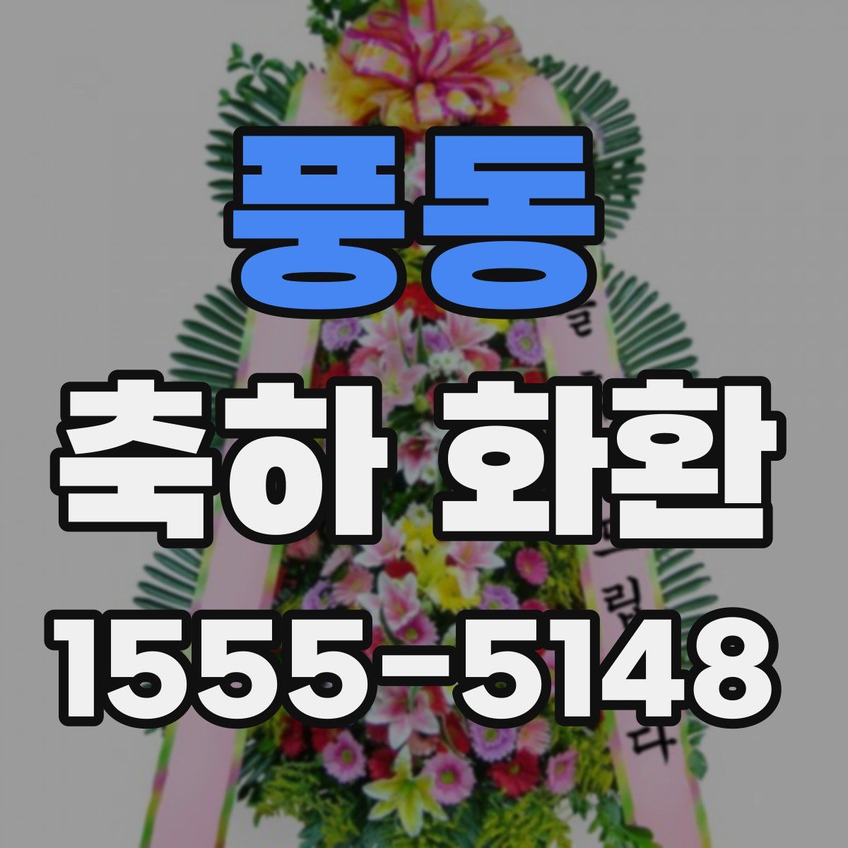 풍동 축하 화환